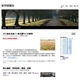 wordpress預設版型